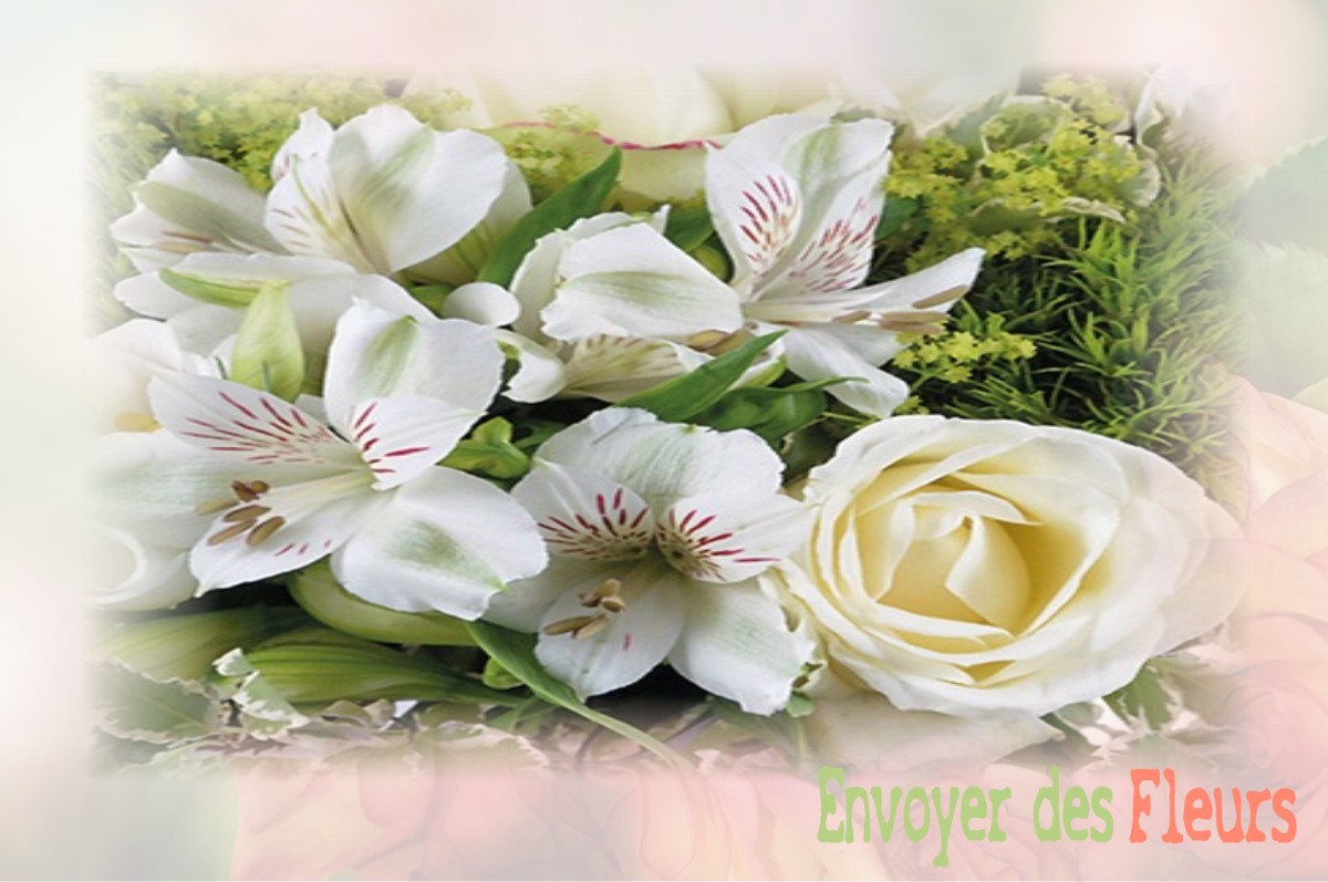 envoyer des fleurs à à OLORON-SAINTE-MARIE